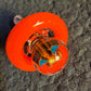 Charizard Golink Cap